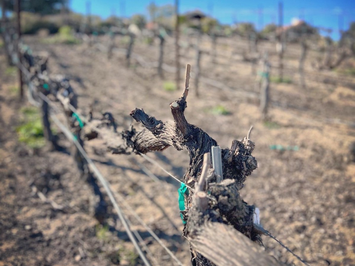 And The 2023 Season&nbsp;Begins…